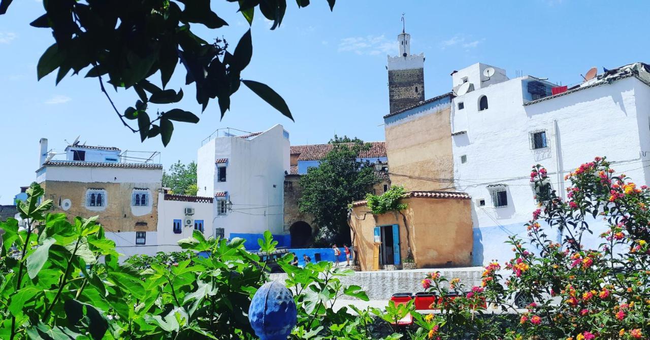 셰프샤우엔 Dar Essaouyry B&B 외부 사진